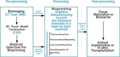 Current Developments in 3D Bioprinting for Tissue and Organ Regeneration–A Review